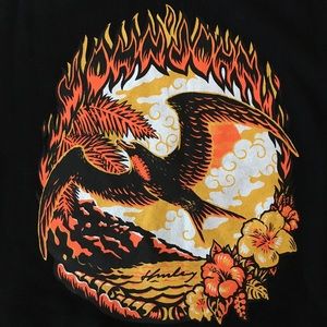 Hurley Flames & Eagle Pullover Sweatshirt Rare
